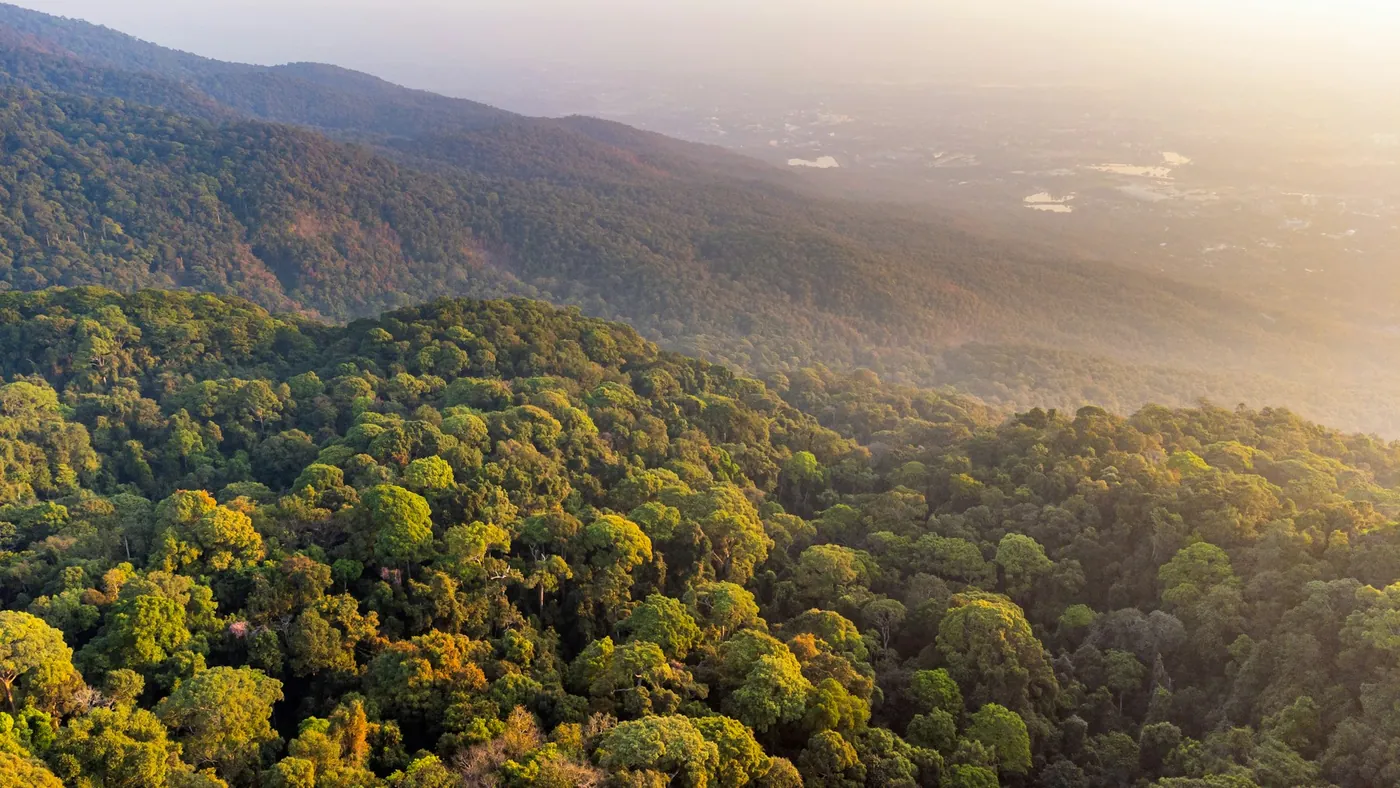 Vista de operação industrial e vegetação ao fundo, representando a medição da pegada de carbono de uma empresa