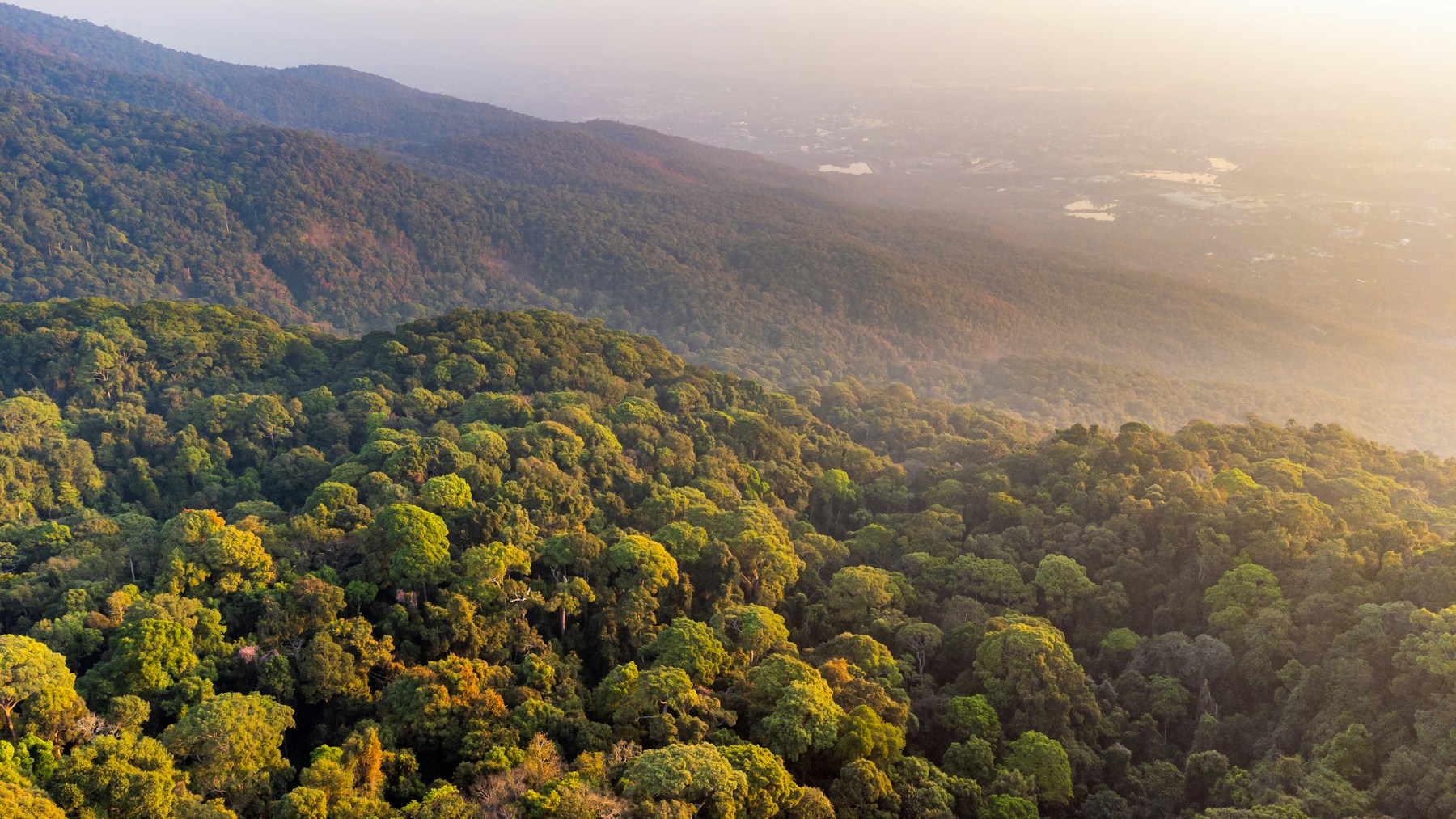 Amazônia — projeto REDD+ de compensação