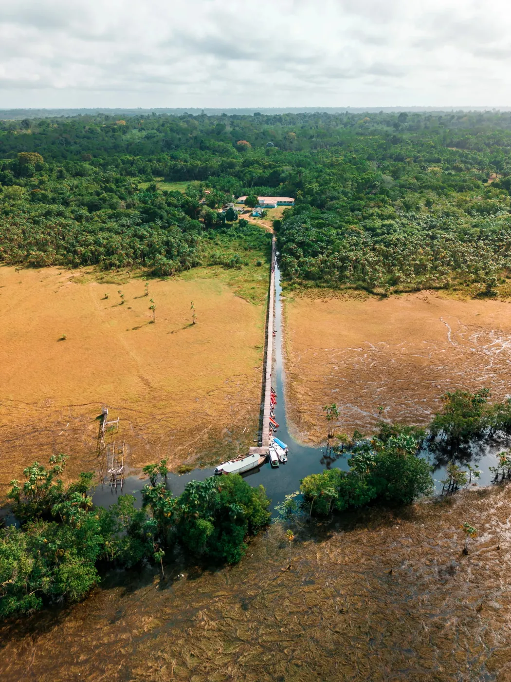 Projeto Awa · REDD+ em PA
