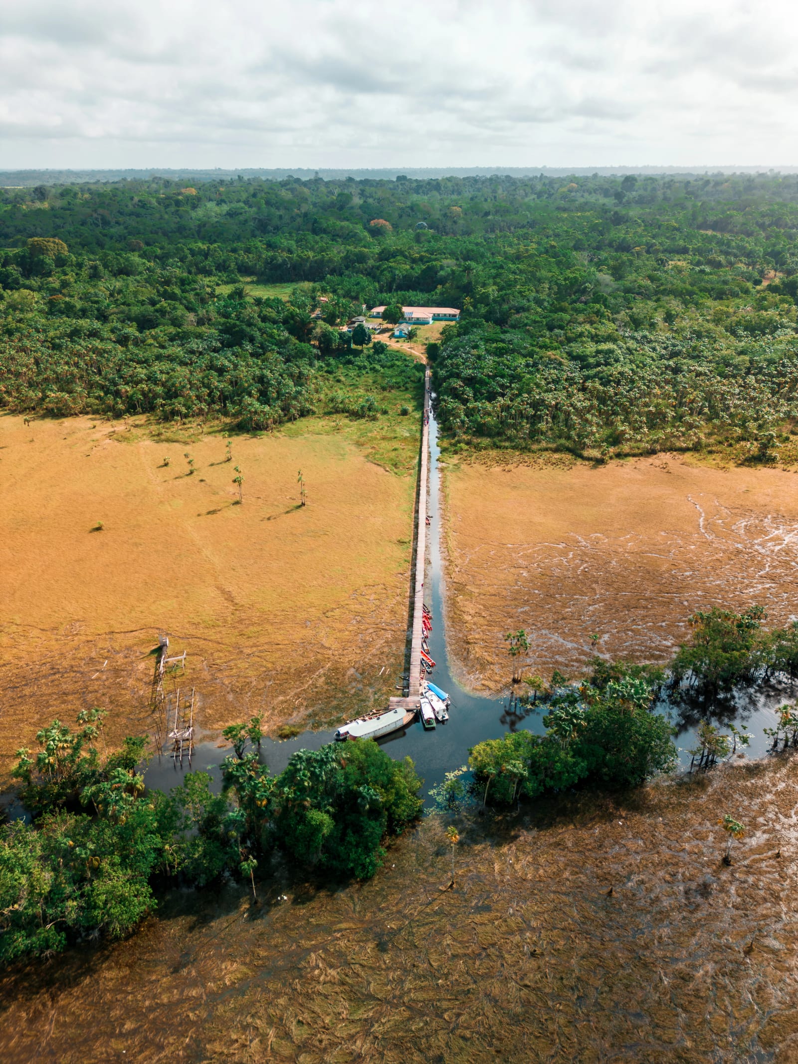 Projeto Awa · REDD+ em PA